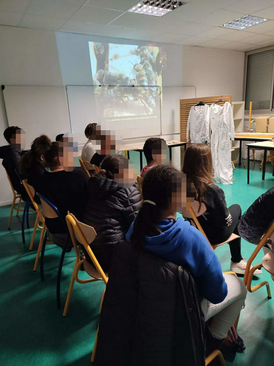 Exposé collège Grand Parc
