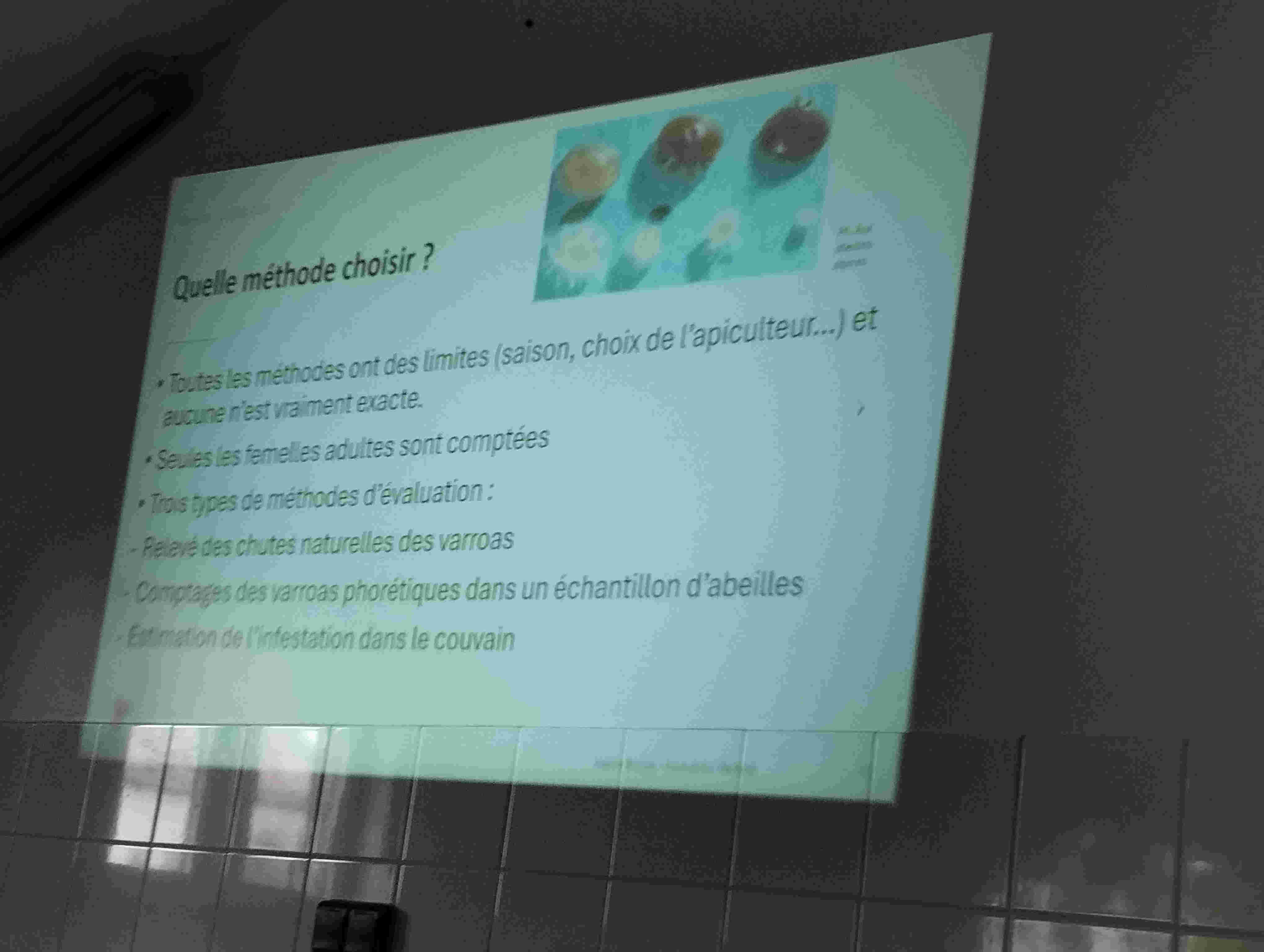 IMG 20240613 192305 web