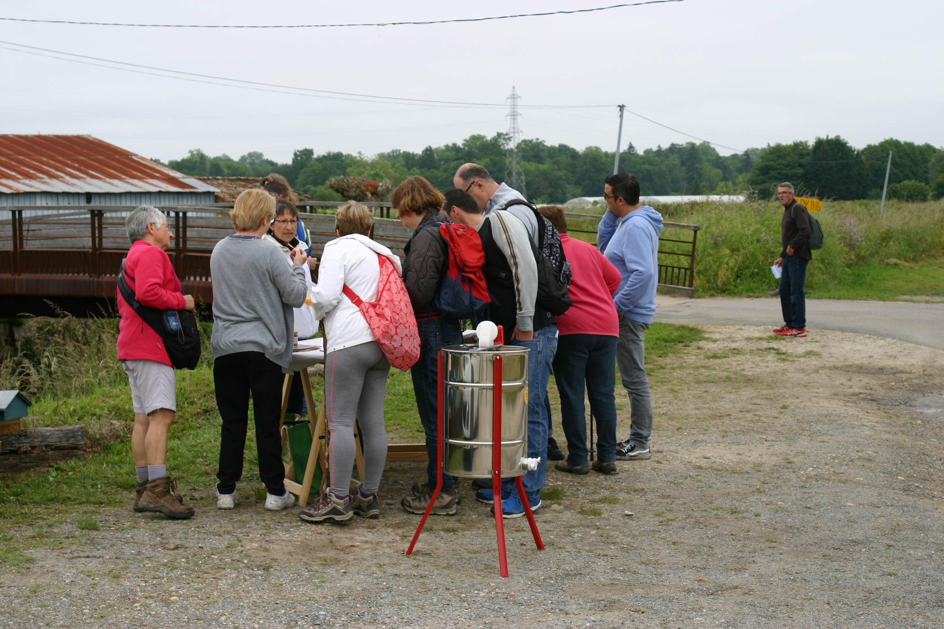 IMG 6638 web